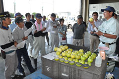 黄色品種リンゴ講習会／適期収穫を徹底