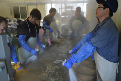 安全・安心な米づくりへ／水稲種子温湯消毒作業