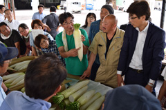 本格出荷前の規格確認／南八甲田高原野菜生産組合