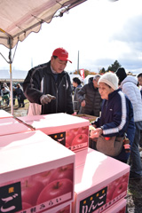 地域のイベントでりんご販売