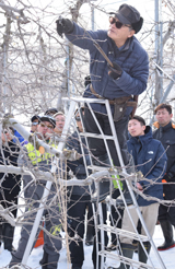 りんご剪定技術磨く