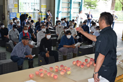 「津軽の桃」桃出番間近　規格を説明／早生桃出荷説明会