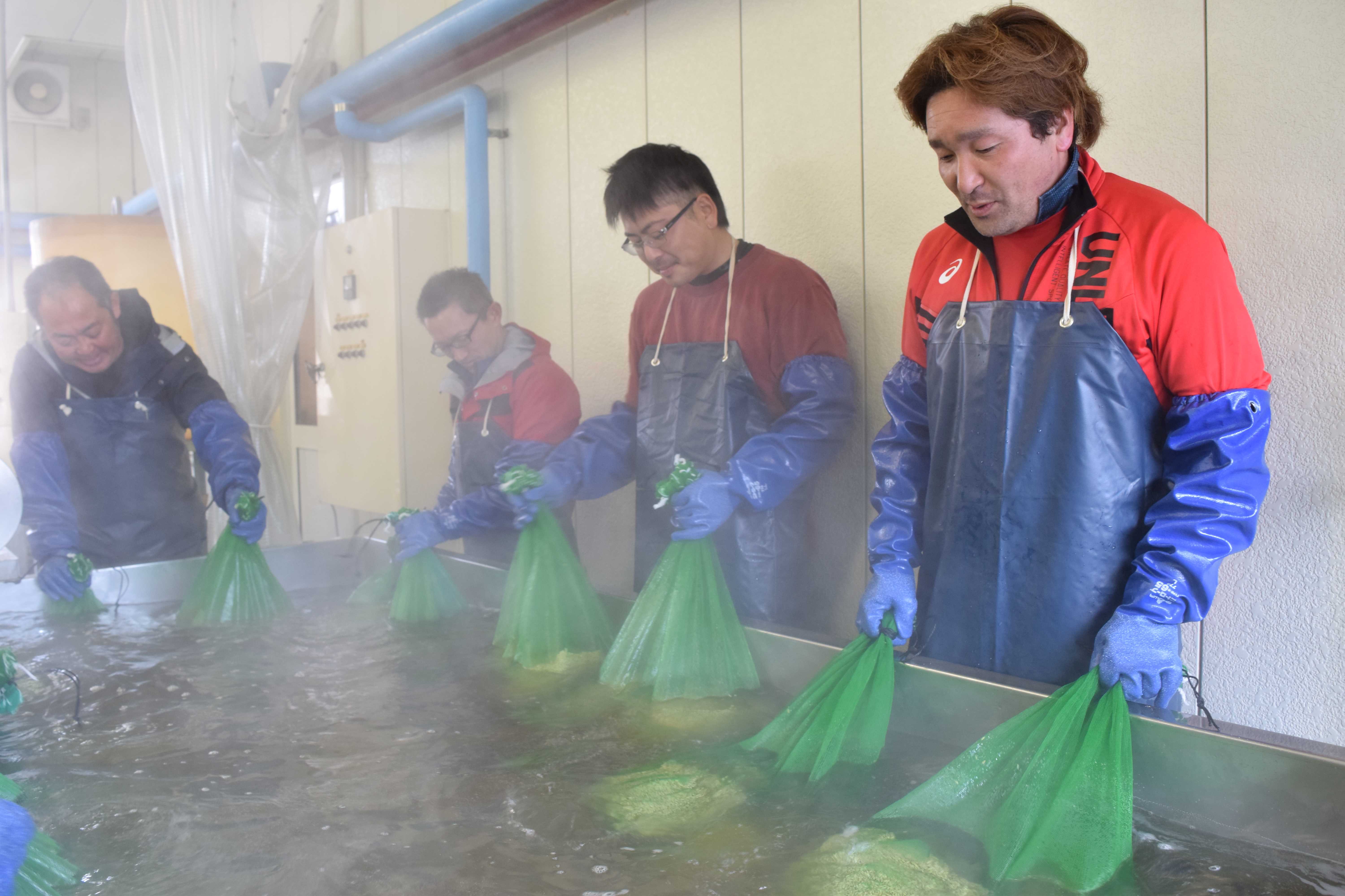 水稲種子温湯消毒作業