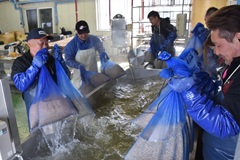 水稲種子温湯消毒実施