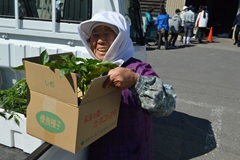 野菜苗販売会