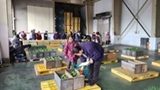 野菜苗販売会