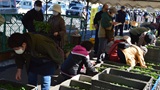 野菜苗販売会